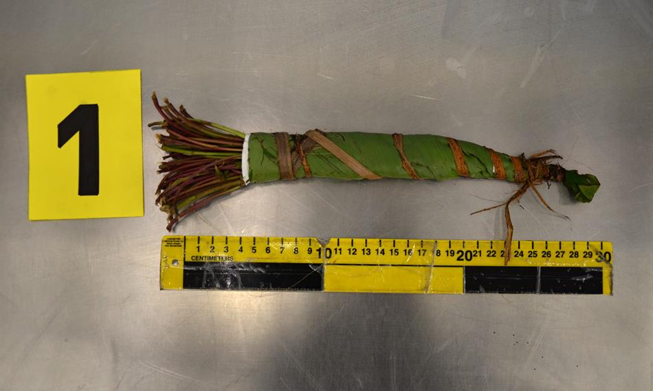 2017-9-27-1340foto 3.jpg